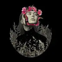 take root - design