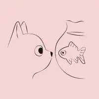 Cat-fish - design