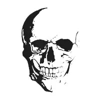 Skull #2 - design