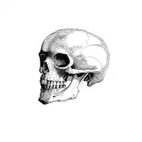 Skull - design