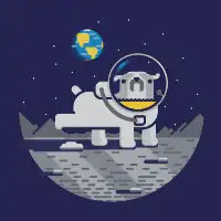 Space Walk - design