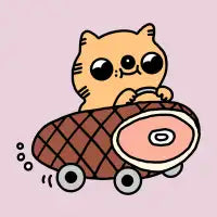 Ham Car - design