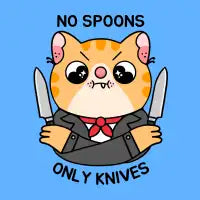 No Spoons - design