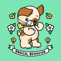 Radical Behavior - design