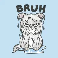 BRUH - design