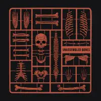 UNASSEMBLED BONES - design