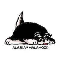 Alaskan Malamood - design