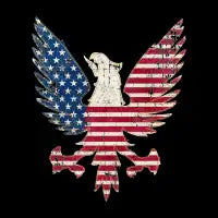 America Eagle - design