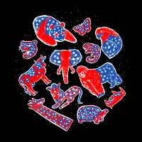 AMERICANIMAL - design