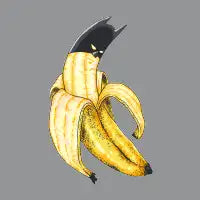 BAT-NA-NA - design