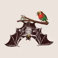 Bat & Rob - design