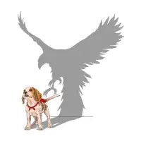 Be Eagle - design