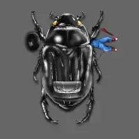 Beetle Car - design