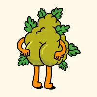 Big Bud - design