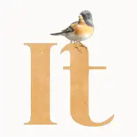 Bird On It - design