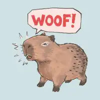 CapyBarking - design
