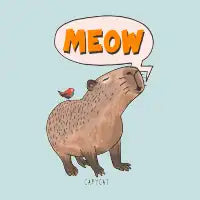 Capycat - design