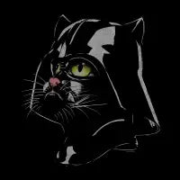 CAT VADER - design