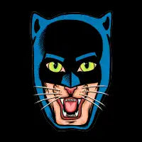 CATMAN - design