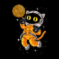 Catsmic - design