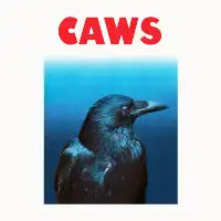 CAWS - design