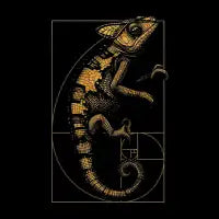 Chameleon Ratio - design