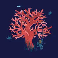 Coral Swing - design