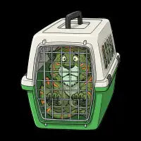 Cringer Pet - design