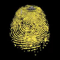 Crop Circle - design
