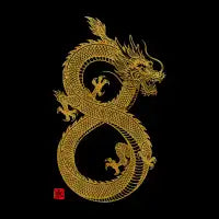 Dragon 8: Infinity Dragon of Fortune - design