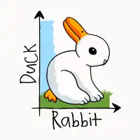 Duck / Rabbit - design