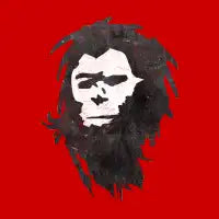 Evolution - design
