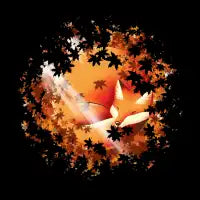 Falling in Fox - design
