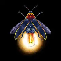 Firefly - design