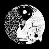 Fish & Co. - design