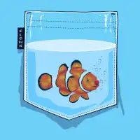 Fish Pocket - design