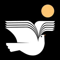Flying Book - design