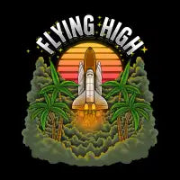 Flying High - design