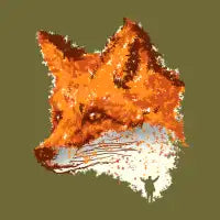 Fox Forest - design