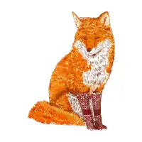 Fox in Socks - design