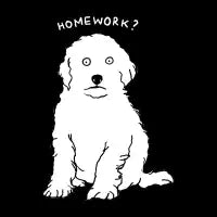 HOMEWORK ? - design
