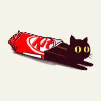 Kit Cat - design