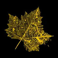 Leaf City - design