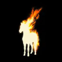 Lit Year - design