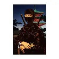 Mona Ninja - design