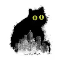 Night Cat - design