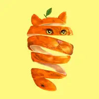 Orange Cat - design