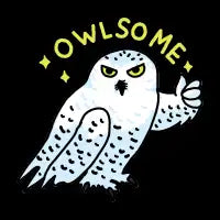 Owlsome - design