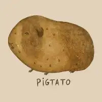 Pigtato - design