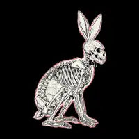 Playboy Skeleton - design